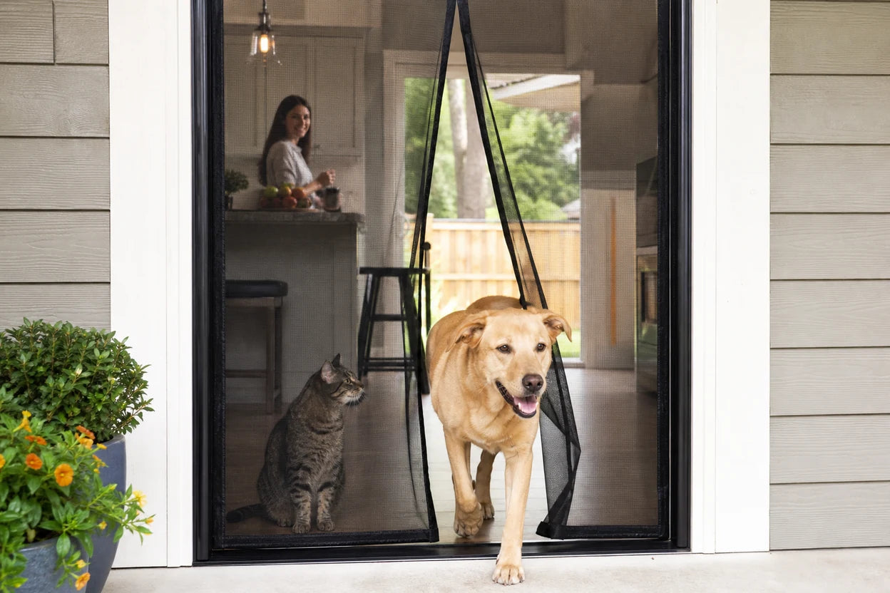 Dog walking through a magnetic screen door while a cat waits beside it